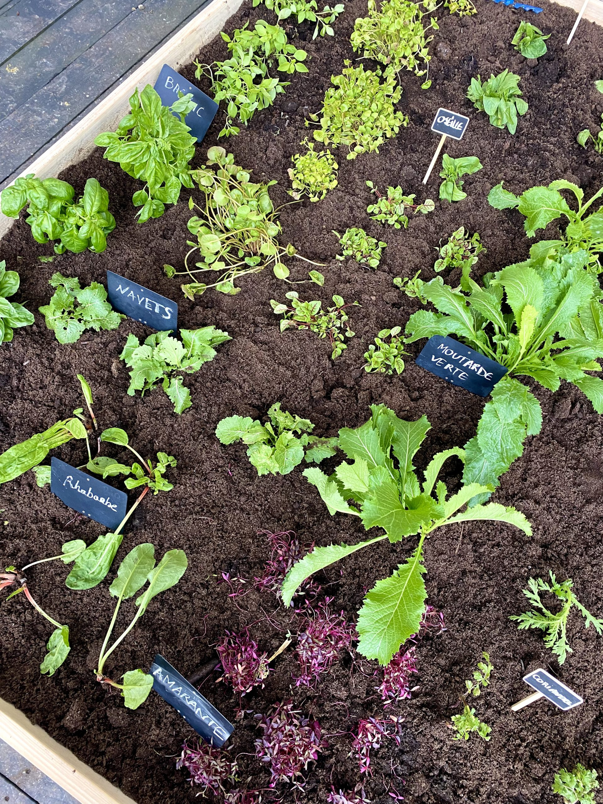 Garden party avec Mory Sacko