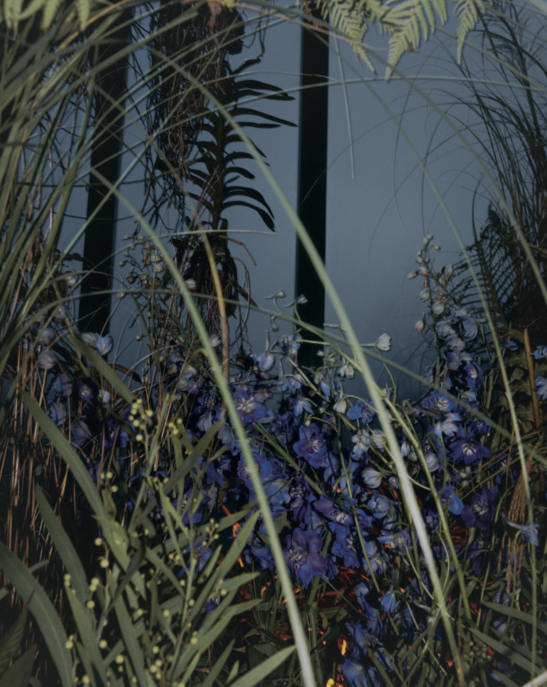 La serre dans le jardin du Palais-Royal