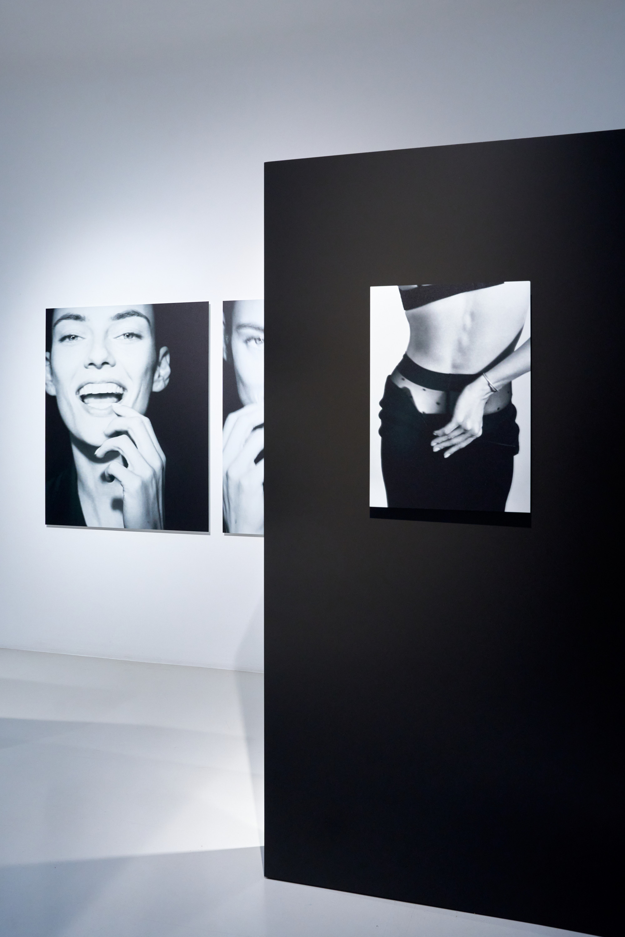 Portrait Of A Lady, les 15 ans