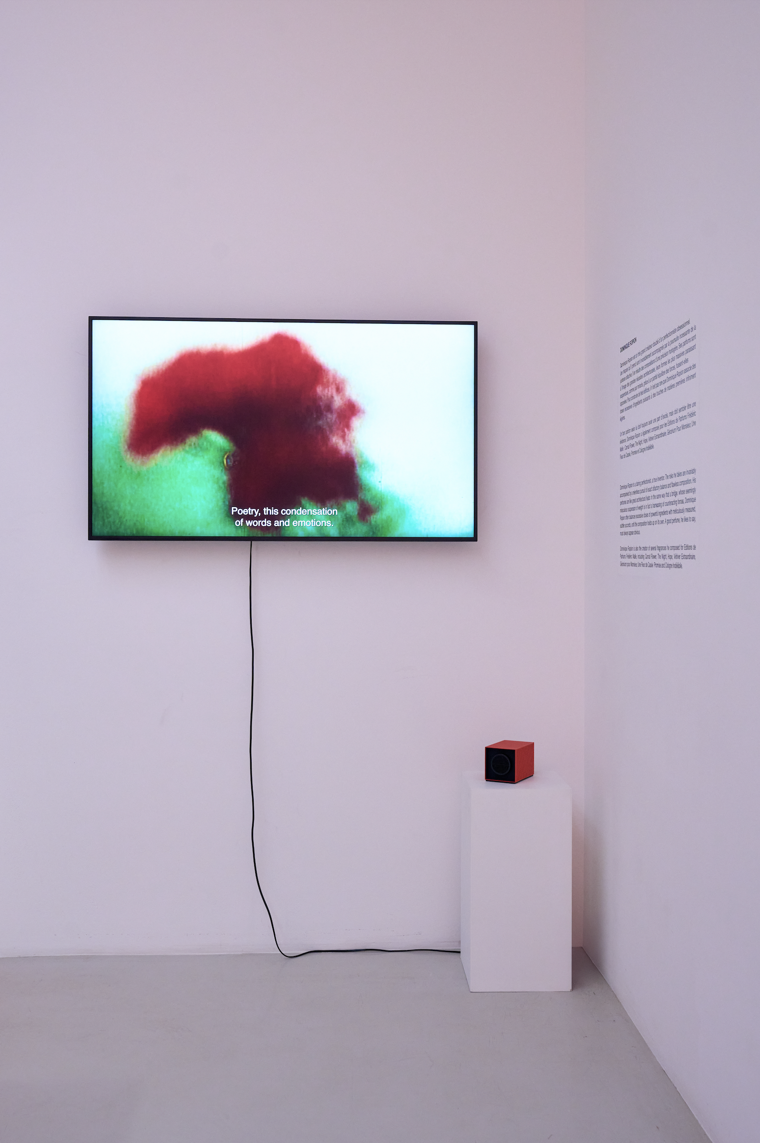 Portrait Of A Lady, les 15 ans