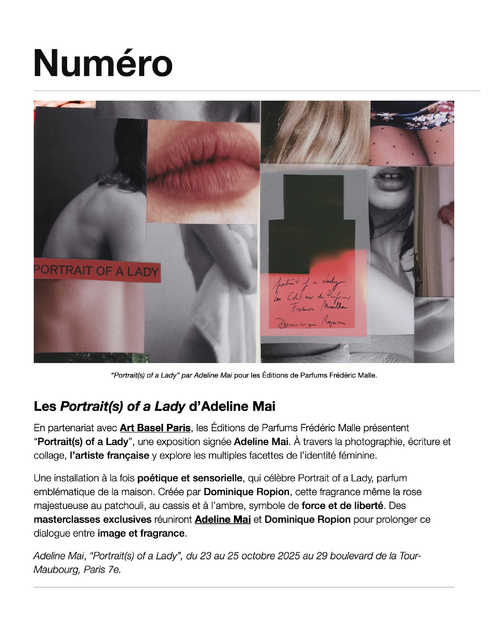 Portrait(s) of a Lady - Art Basel